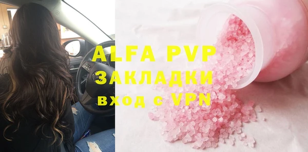 прущие грибы Покачи