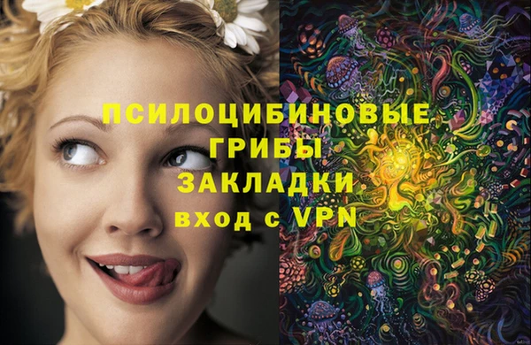 прущие крисы Покровск