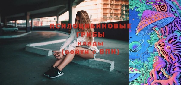 мдпв Лагань