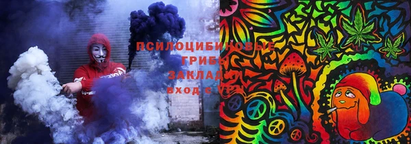прущие грибы Покачи