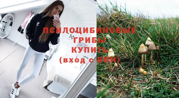 прущие крисы Покровск