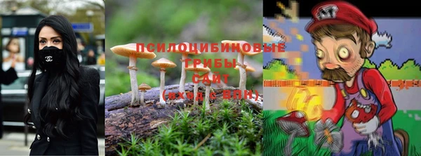 прущие грибы Покачи