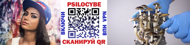 shop формула  Кушва  Галлюциногенные грибы мицелий 