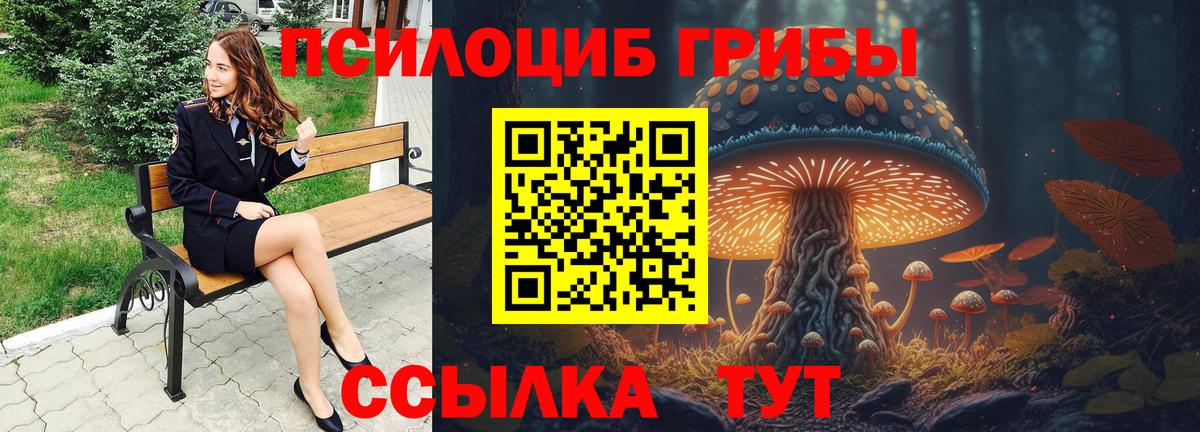 как найти закладки  Галлюциногенные грибы MAGIC MUSHROOMS  Кушва  Псилоцибиновые грибы ЛСД 