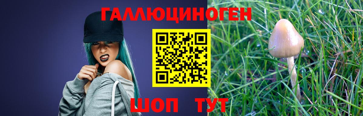 Псилоцибиновые грибы Cubensis Кушва